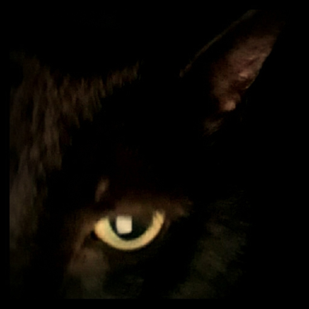 Meet your Posher, Orlando